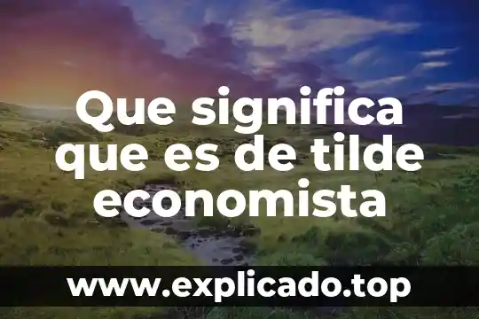 Por que es importamte un economista financiero 5 Que significa que es de tilde economista
