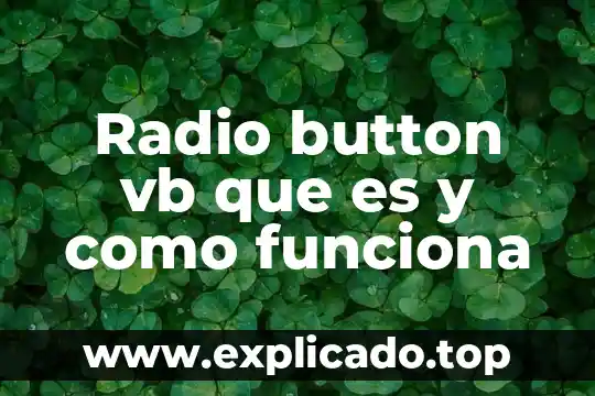 Que es una escaleta de radio o de un programa 4 Radio button vb que es y como funciona