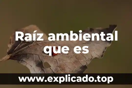 Que es la raiz de la tarjeta micro sd 3 Raíz ambiental que es