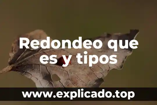 Qué es la educación y sus tipos 5 Redondeo que es y tipos