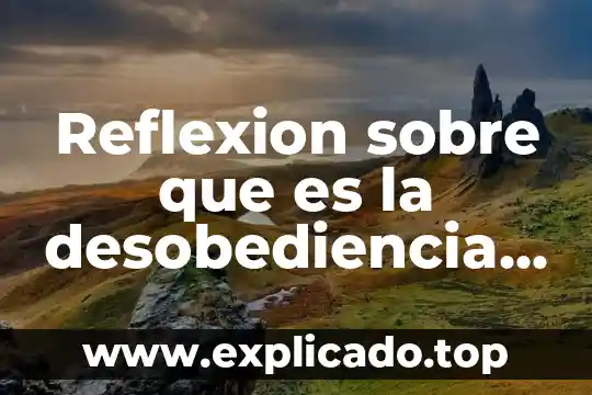 Que es el ser humano como un ser reflexion 6 Reflexion sobre que es la desobediencia civil y ejemplos