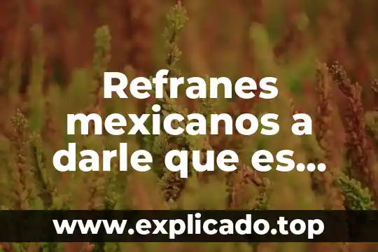 Refranes mexicanos a darle que es mole de olla