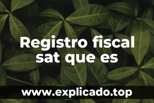 Que es contaduria electronica sat 3 Registro fiscal sat que es