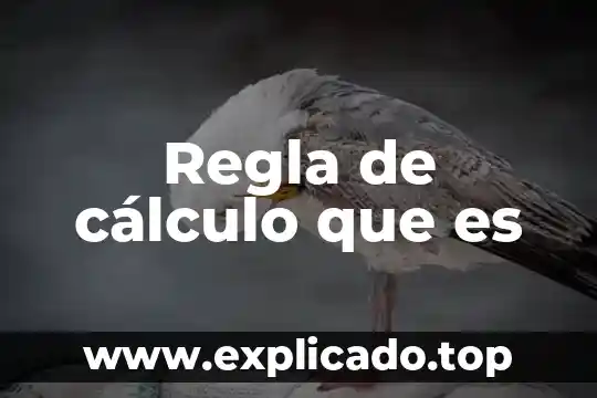 Que es una serie y su clasificacion calculo integral 4 Regla de cálculo que es