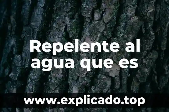 Repelente al agua que es