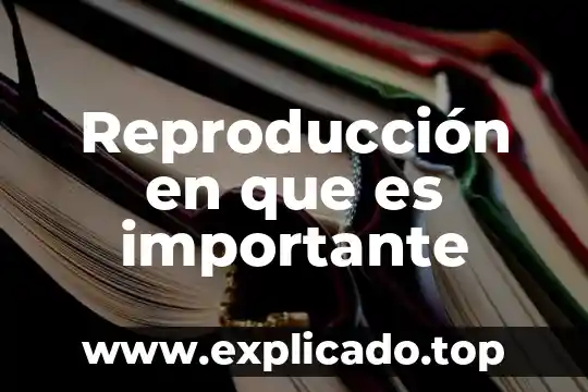 Que es la reproduccion y para que es importante 3 Reproducción en que es importante
