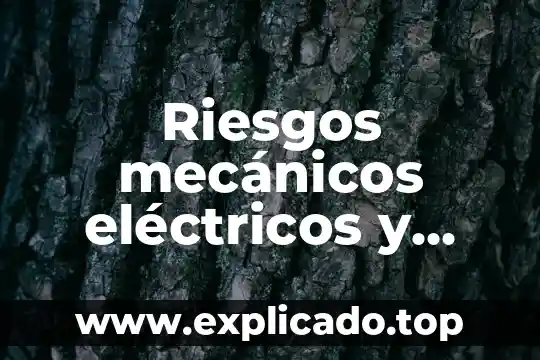 Que es loor en la biblia 8 Riesgos mecánicos eléctricos y químicos que es