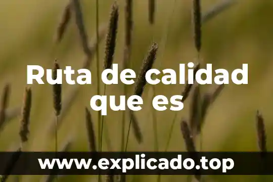Que es la gestion de calidad en proyectos 3 Ruta de calidad que es