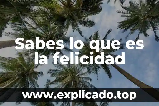 Sabes que es verdad lo sabes lo sabes lo sabes 7 Sabes lo que es la felicidad