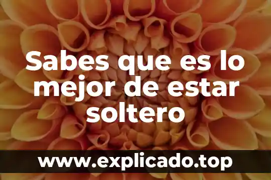Sabes que es verdad lo sabes lo sabes lo sabes 5 Sabes que es lo mejor de estar soltero