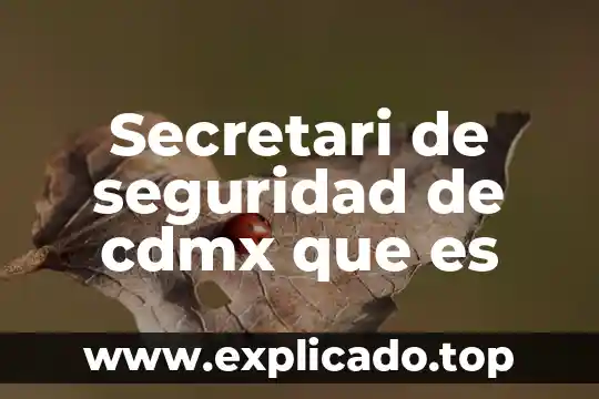 Seguridad energética que es 7 Secretari de seguridad de cdmx que es