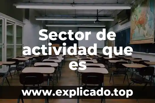 Que es una actividad economica preponderante 5 Sector de actividad que es
