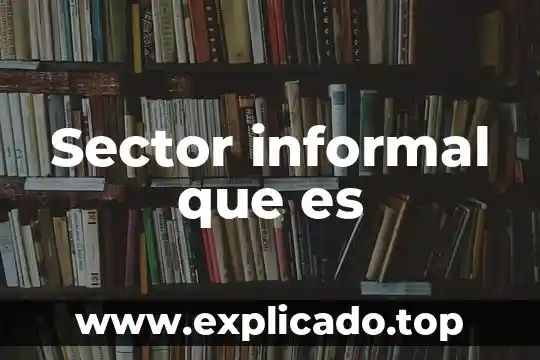 Sector informal que es
