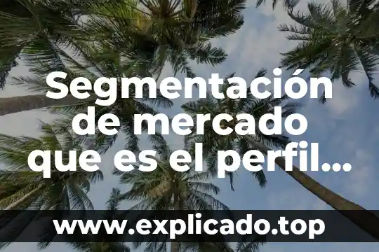 Qué es la hiper segmentación de mercado 8 Segmentación de mercado que es el perfil del cliente
