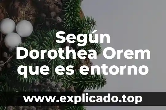 Que es el entorno de programacion 4 Según Dorothea Orem que es entorno