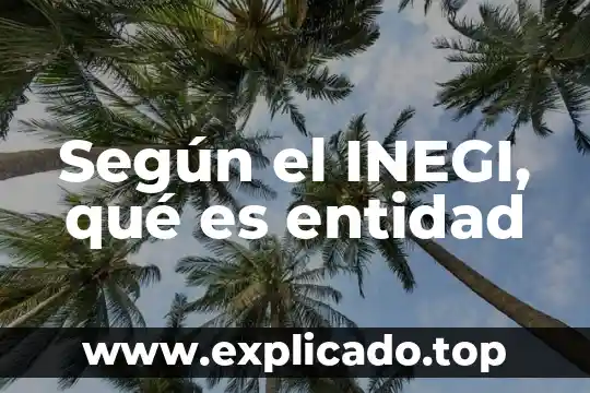 Vulcanismos inegi que es 4 Según el INEGI, qué es entidad