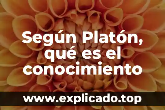 Que es cozy up en ingles 8 Según Platón, qué es el conocimiento
