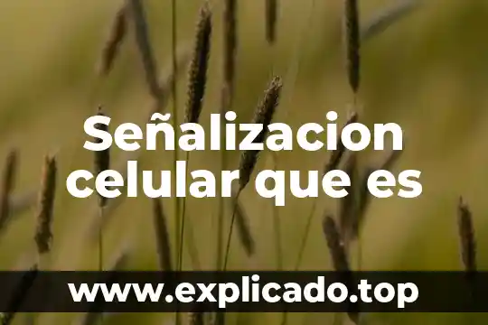Que es la señalizacion industrial 3 Señalizacion celular que es