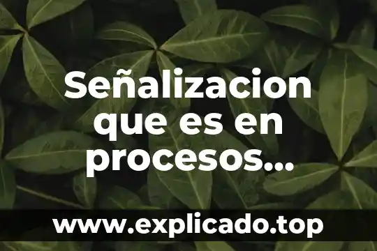 Que es la señalizacion industrial 4 Señalizacion que es en procesos productivos