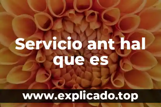 Que es el servicio becario 4 Servicio ant hal que es