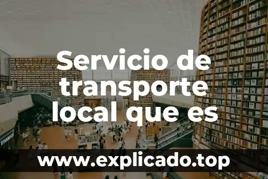 ¿Qué es una inspección somática local y somática general? 7 Servicio de transporte local que es