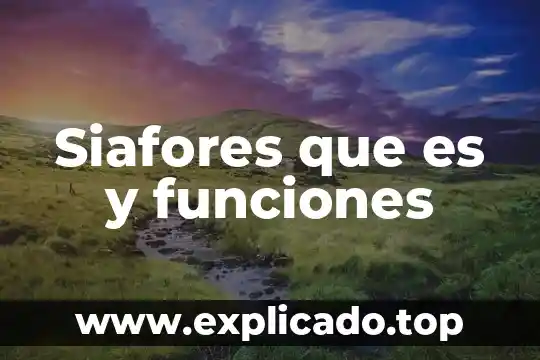 Núcleo celular qué es y funciones 7 Siafores que es y funciones