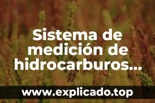 Que es un sistema en geografia 4 Sistema de medición de hidrocarburos que es