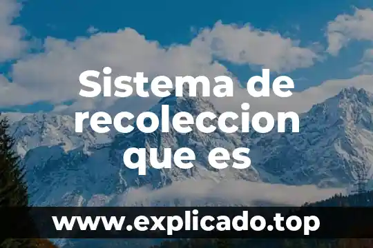Que es recoleccion de datos que tipos exiasten 3 Sistema de recoleccion que es