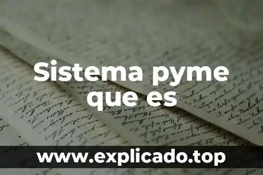 Que es un sistema en geografia 6 Sistema pyme que es