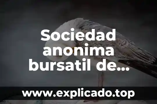 Que es una sociedad anonima de garantia reciproca 8 Sociedad anonima bursatil de capital variable que es