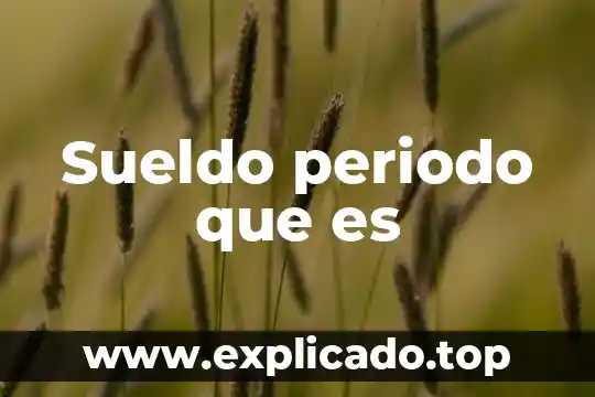 Que es periodo preclásico 8 Sueldo periodo que es