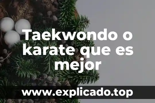 Que es mejor pasaporte o visa 8 Taekwondo o karate que es mejor