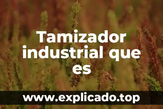 Que es unaanimal industrial 4 Tamizador industrial que es