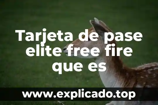 Que es free fire animado 3 Tarjeta de pase elite free fire que es