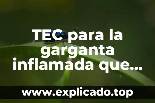 Que es bueno para la garganta reseca 8 TEC para la garganta inflamada que es bueno