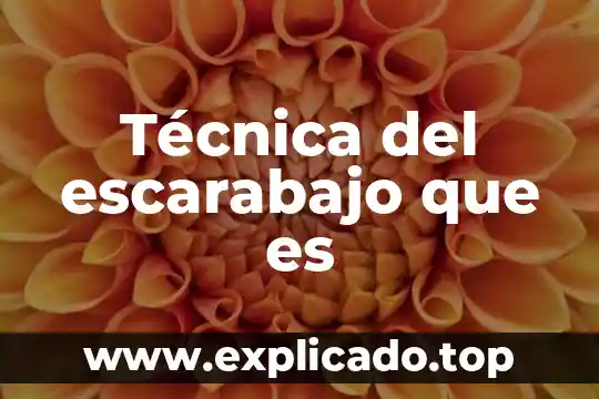 Que es la tecnica de reversa en uñas acrilicas 4 Técnica del escarabajo que es