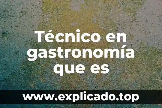 Que es una variable en gastronomia 4 Técnico en gastronomía que es