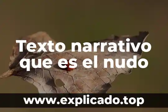 Que es una fuente bibliografica de genero narrativo 8 Texto narrativo que es el nudo