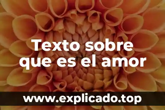 Que es un reactivo usando un texto 6 Texto sobre que es el amor