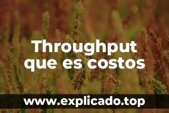 Materia prima que es en costos 3 Throughput que es costos