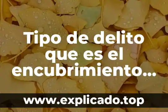 Qué es un percil ejemplos 6 Tipo de delito que es el encubrimiento artículo 96