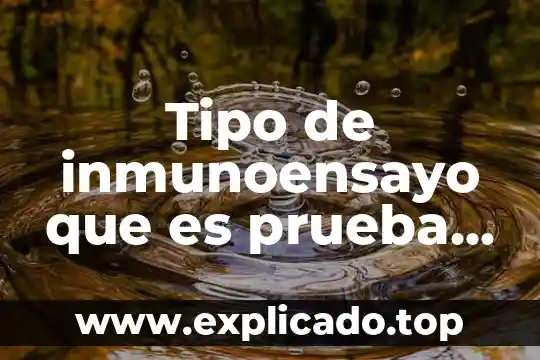 Tipo de inmunoensayo que es prueba de embarazo