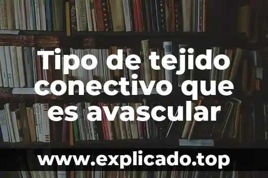 Qué es la ausencia de tipo en el delito 4 Tipo de tejido conectivo que es avascular
