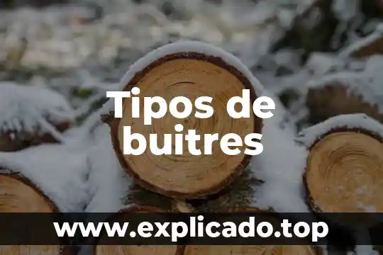 Tipos de buitres