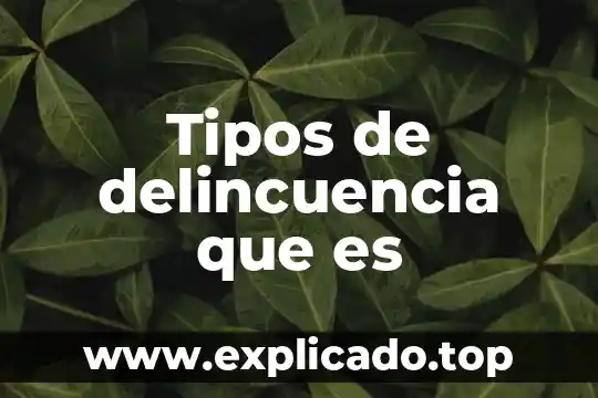 Tipos de delincuencia que es