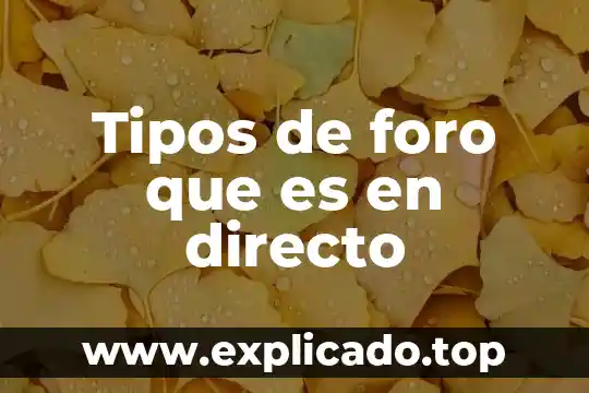Tipos de foro que es en directo