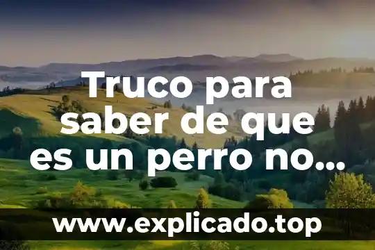 Luis miguel sin saber que es lo que hago 7 Truco para saber de que es un perro no ladre