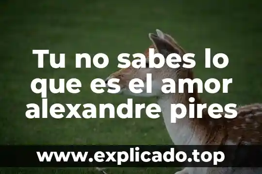 Sabes que es verdad lo sabes lo sabes lo sabes 3 Tu no sabes lo que es el amor alexandre pires