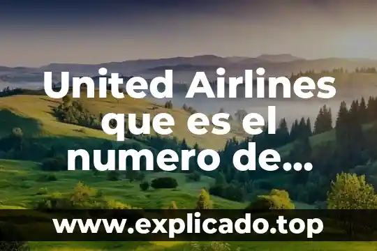 Que es un numero intruso 4 United Airlines que es el numero de confirmacion