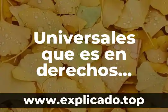 Que es el sistema universal de os derechos humanos 4 Universales que es en derechos humanos
